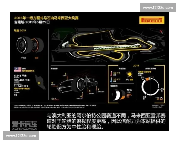 数据解读：从轮胎磨损到进站策略，科学如何成就胜利