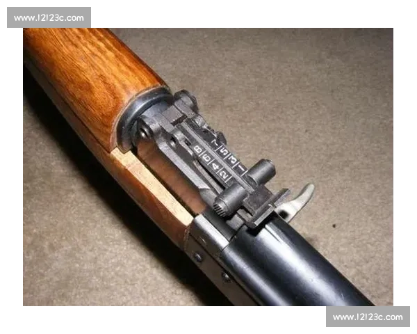 精准定位技术，让每一枪都命中目标的要害！