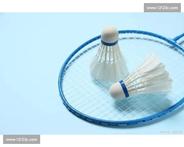 别再盲目跟风!羽毛球拍的选择,适合自己的才是王道